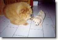 M�a jako n�hradn� otec