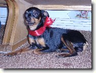 Velikono�n� Rambo