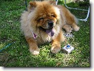 oblastn� v�t�zka