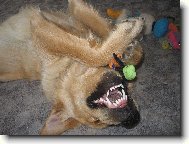 M�j 8im�s��n� ro���k Jerry;)