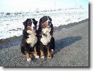 Iris P�seck� hory a Brutus z Beskydsk�ch kopc�