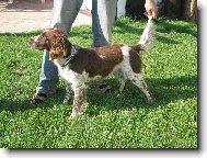 Arka z Lou�sk� paseky