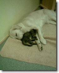 tak se p�itul, j� t� zah�eju