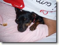 Nejobl�ben�j�� ze v�ech m�st:)