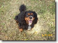 Muj milovan� ��rl�nek