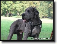 Jack z Josefovskych B�d