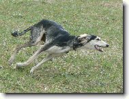 Vychrt plochodr�n�