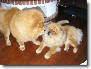 je�t� krok a.....