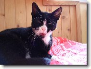 Z���v�����m:D