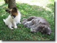 J� si chci taky cucnout!