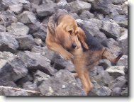 Jsem velk�,ale mr�tn�