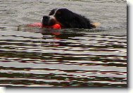 Largo z�chran��