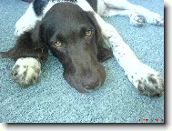 Argo - 7 m�s�c�