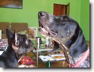 Aininka a jej� velk� "br�ka":o)