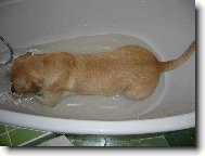 J� m��u i do vany