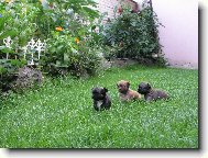 T�eba�sk� �dol�