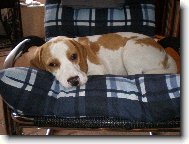 POHODL��KO V HOUPAC�M K�ESLE