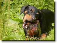 Na�e �i�ka Barunka