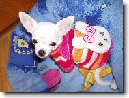 Jassinka v oble�ku