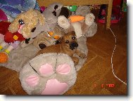 jsem taky ply��k...a jmenuju se Pr�ek