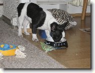 Bert�k s kamar�dem andul�kem K�jou