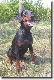 Akinka - �sm�v pros�m :)