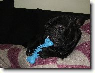 V�no�n� d�re�ek