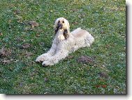 Aragorn Chlupat� Poklad