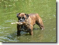 Blondy ve vodn�m �ivlu