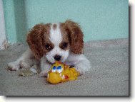 jsem malej, ale trh�m u� obstojn�