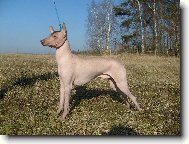 Peru�nsk� nah�� velk�