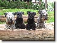 Orest Kalimera �ekaj� na start !