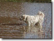 miluju ka�dou vodu