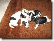 narodili jsme se a m�me 4 - 8 hodin