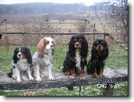 Kaval��� kamar�di