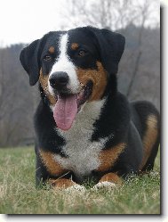 Abora z Velk�ho �jezda