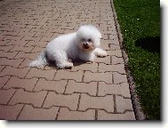 bol� m� u� no�i�ky...