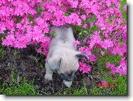 jak se odsu� dostanu?