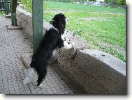 Co se to tam d�je???