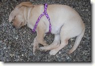 Brita jako miminko-2 m�s�ce