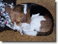 Niky spink� na pol�t��ku :)