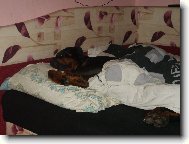 Sp�c� and�lek:-)