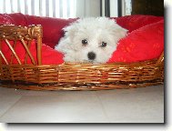 druh� den v nov�m domov�