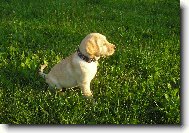 To jsem byla je�t� mali�k�