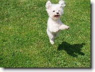 L�taj�c� Anne :-)