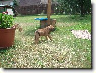 Na�e �t���tko Aida