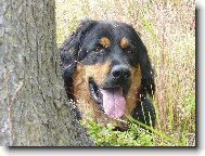 Odpo�inek v tr�v�