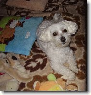 N� mil��ek Samuel