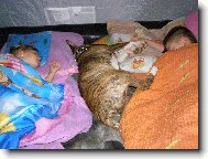 TO SE N�M TO HEZKY SPINK�