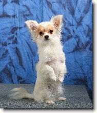 j� jsem zaj��ek u���ek